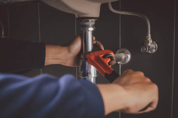 Best Plumbing Inspection Services  in Bourg, LA